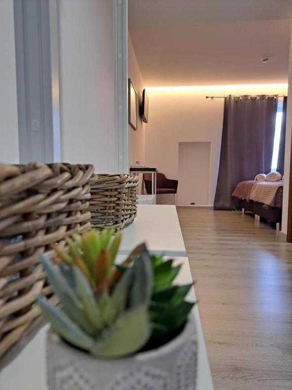 Olhos D' Agua Hotell Alcanena Eksteriør bilde